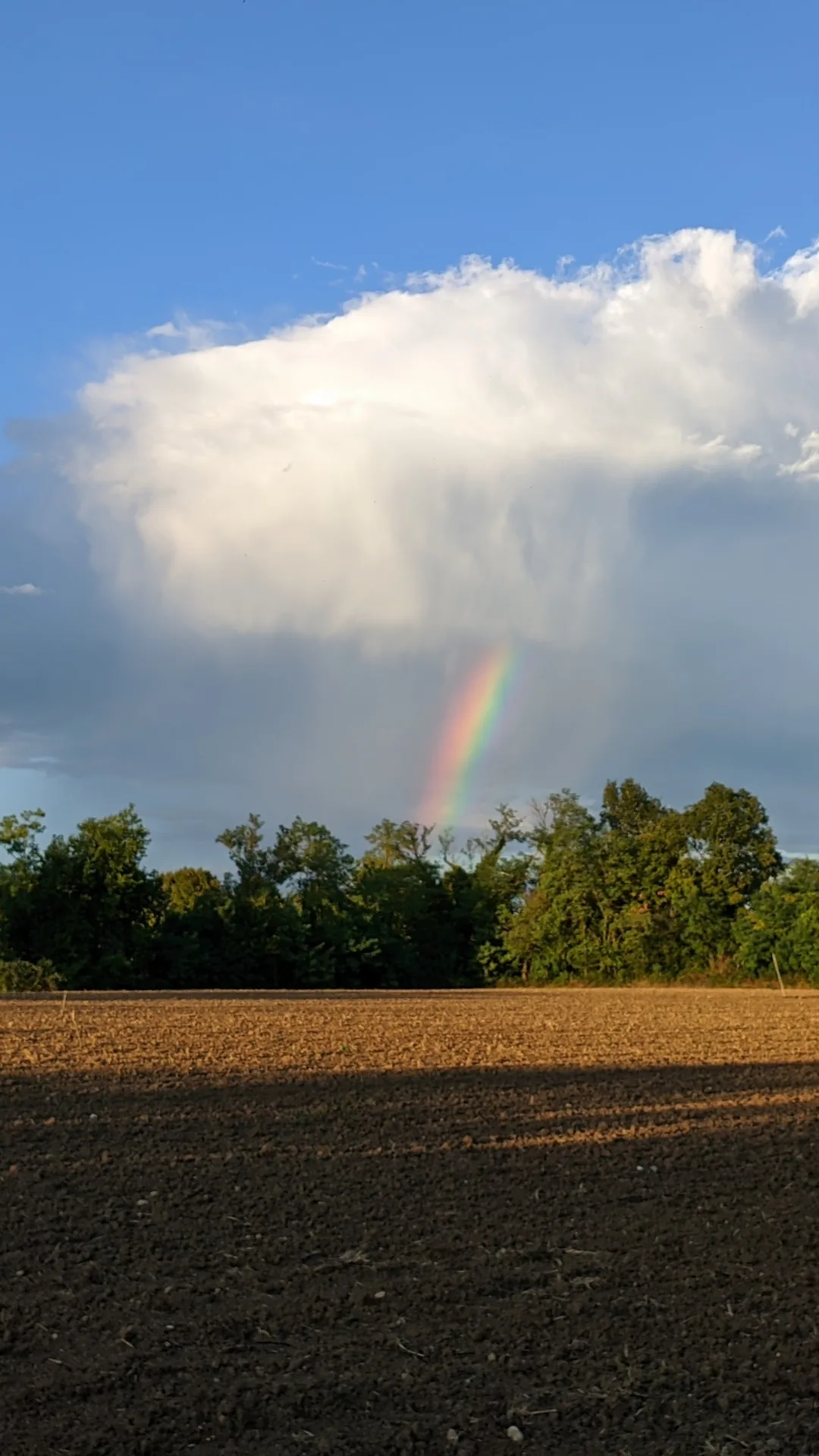 Arcobaleno sotto un temporale sopra un campo arato